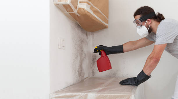 Professional Mold Removal technician working in Leander, TX