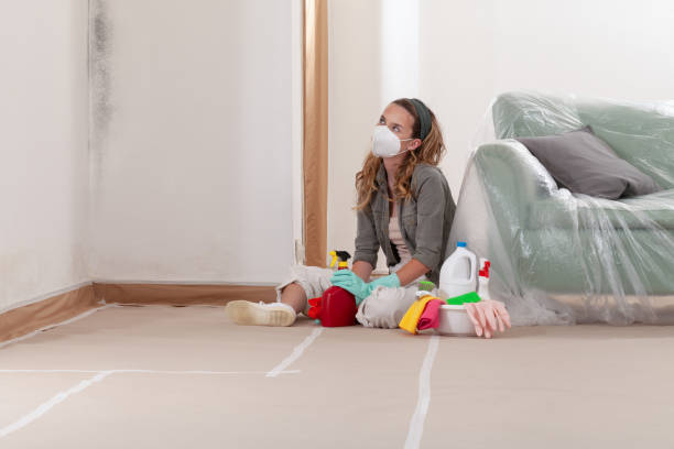 Reliable Mold Removal contractor in Leander, TX by Mold Remediation HQ